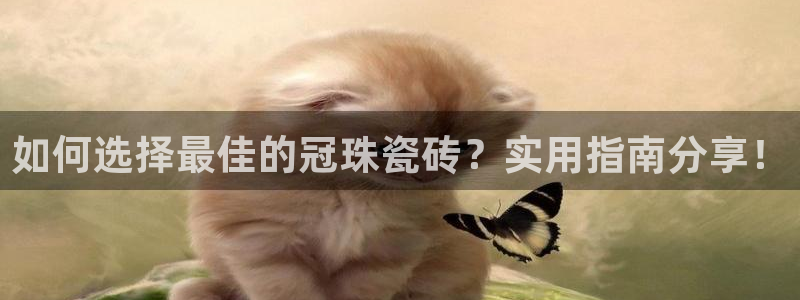 富联娱乐口六七五一38：如何选择最佳的冠珠瓷砖？实用指南分享！