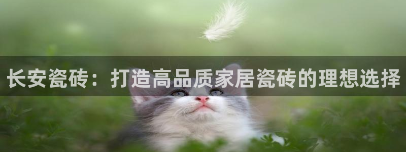 富联娱乐万67五壹叁八