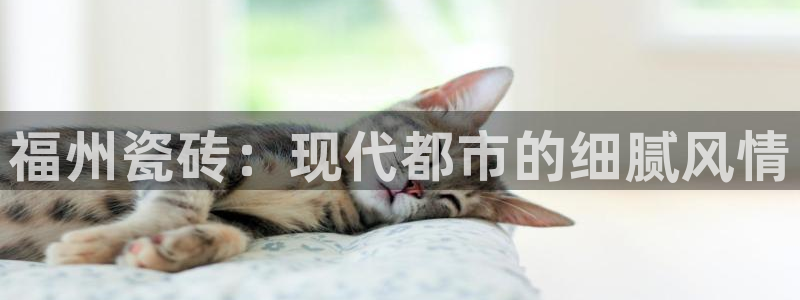 富联娱乐代理是谁开的