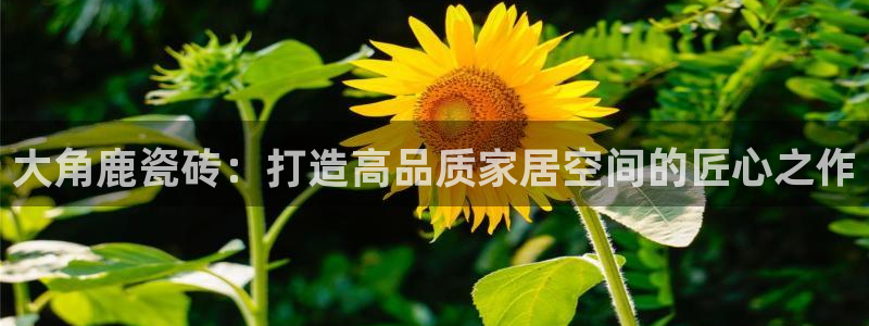 富联娱乐主管是谁