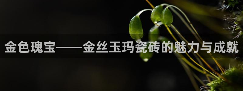 富联娱乐总代理电话地址