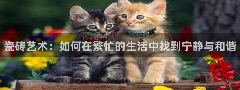 富联娱乐官方网站下载手机版