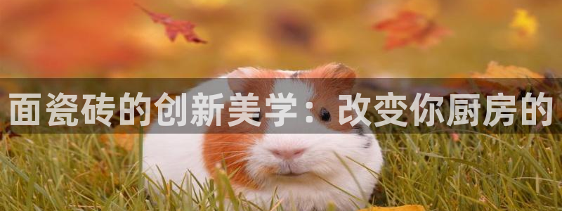 富联娱乐招商主管是谁