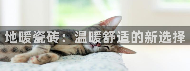 富联娱乐主管吉判官333OO