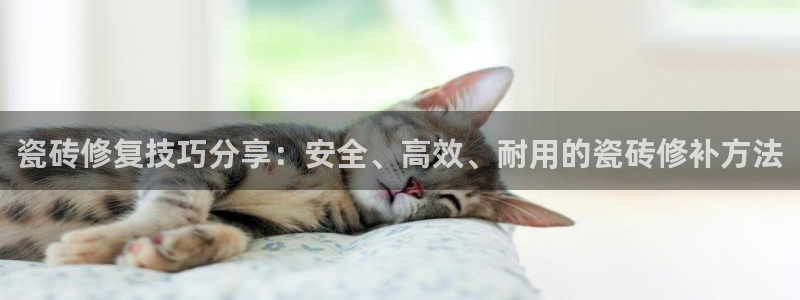 富联娱乐官方网站入口下载