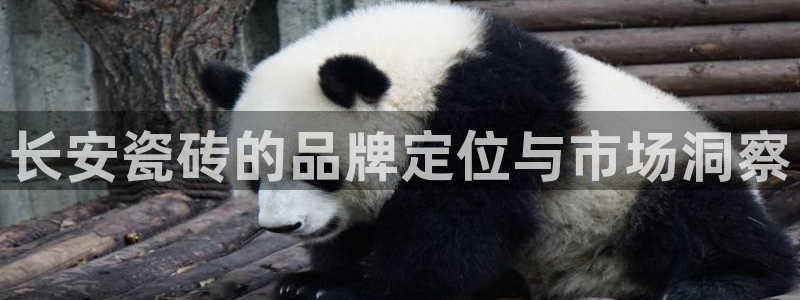 富联娱乐登录地址查询