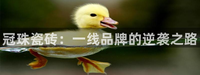 富联娱乐贴吧最新消息网