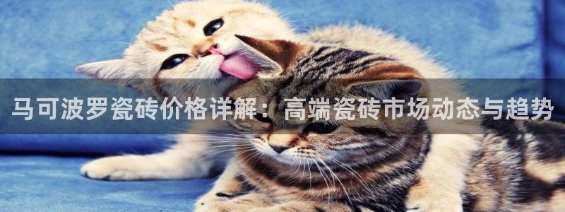 富联娱乐主管密判官333OO