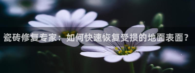 富联娱乐女团排名多少