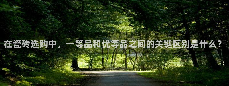 富联娱乐测速登录