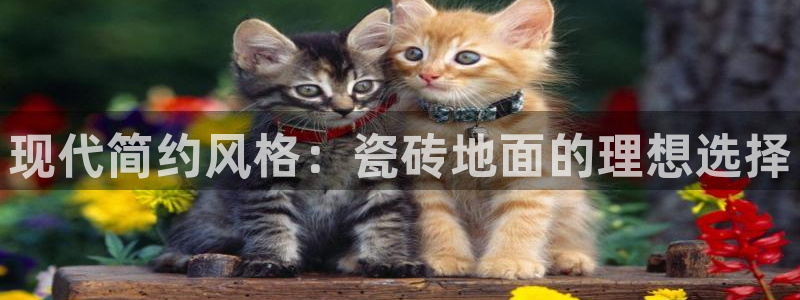 富联娱乐官网注册入口网址