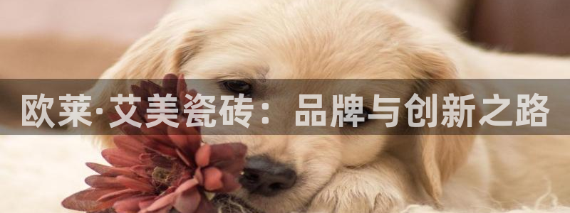 富联娱乐67五壹叁八