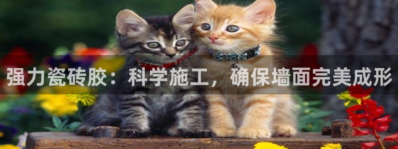 富联娱乐总代理是谁