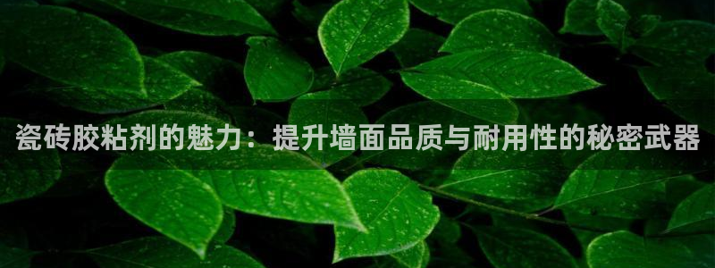 富联娱乐客户端下载不了