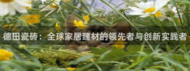 富联娱乐平台登录入口