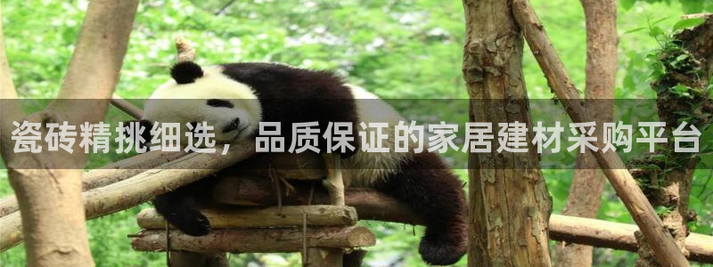 富联娱乐招商监判官333OO
