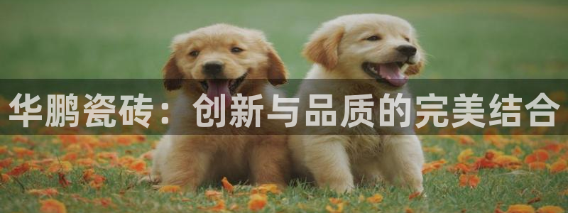 富联2娱乐首页网址大全
