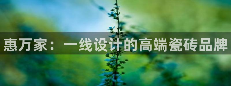 富联娱乐发展历程图