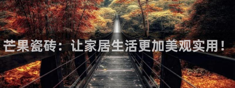 富联2娱乐查判官333OO