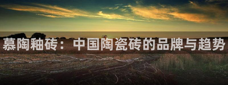 富联娱乐总裁简介图片