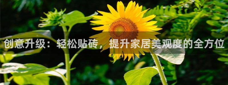 富联娱乐代理怎么样做