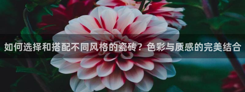 富联娱乐首页登录不了