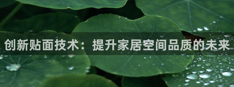 富联娱乐分红