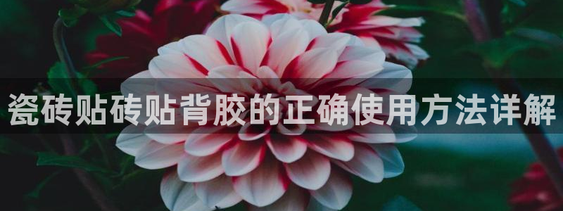 富联娱乐在线官网首页