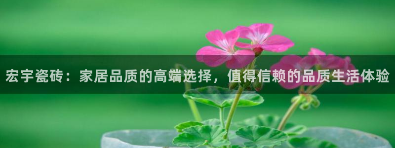 富联娱乐app更新版本