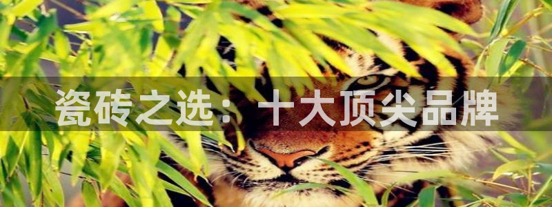 富联娱乐主管么67O77逐风