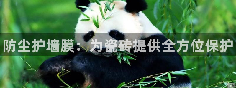 富联娱乐元哥