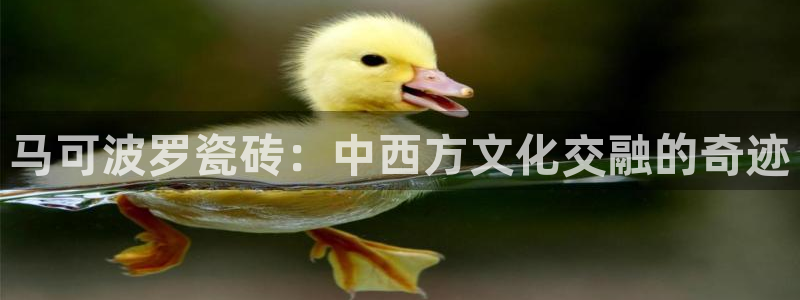 富联2娱乐元哥微博号
