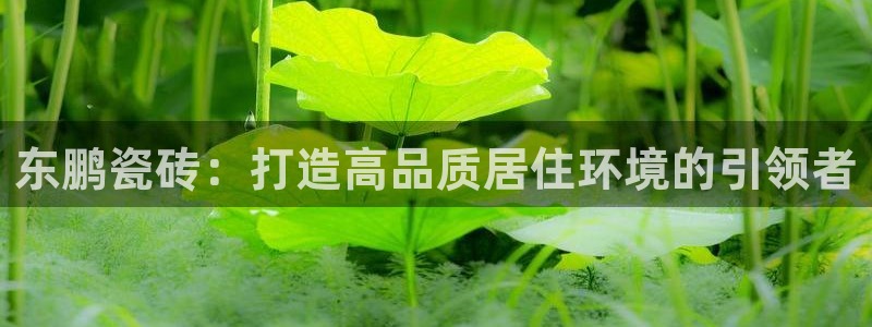 富联娱乐官方网站