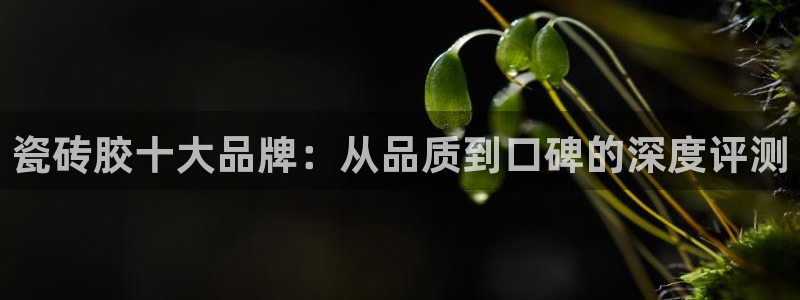 富联娱乐开户费用多少