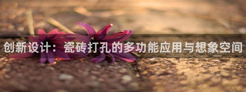 富联娱乐版权所有权归属