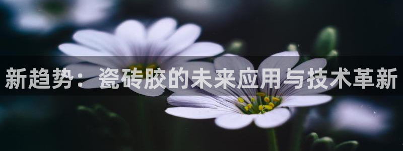 富联娱乐主营业务有哪些