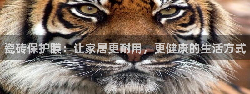 富联娱乐平台注册