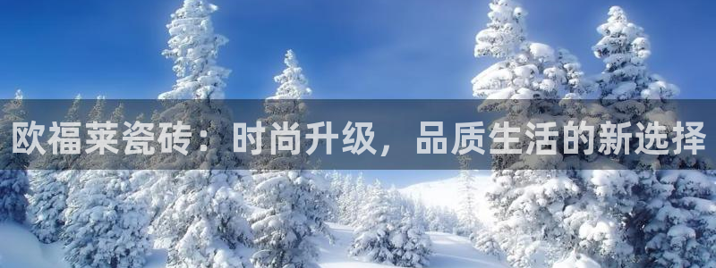 富联娱乐发展历程