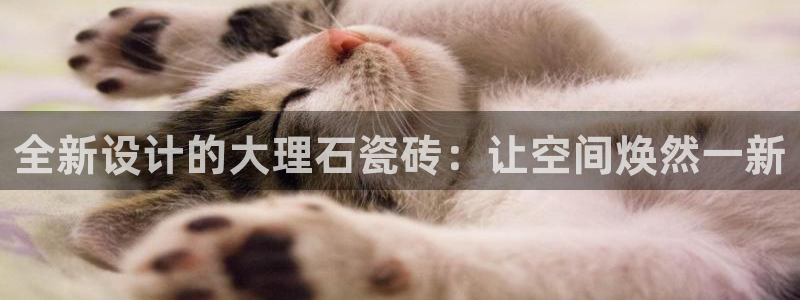 富联娱乐总代理