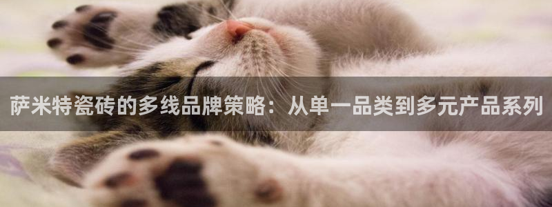 富联娱乐女团是谁的公司