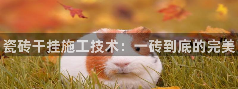 富联娱乐首页登录不了