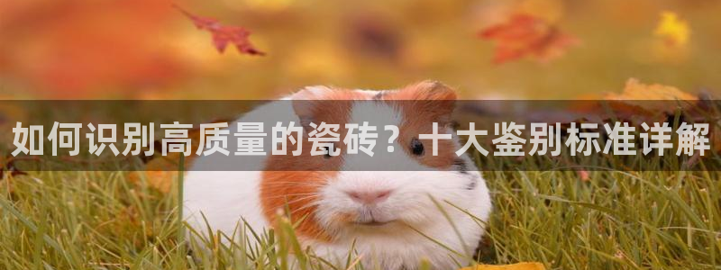 富联娱乐最新消息今天